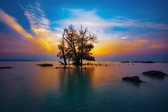 Andaman Glimpses - Port Blair 3N + Havelock 1N